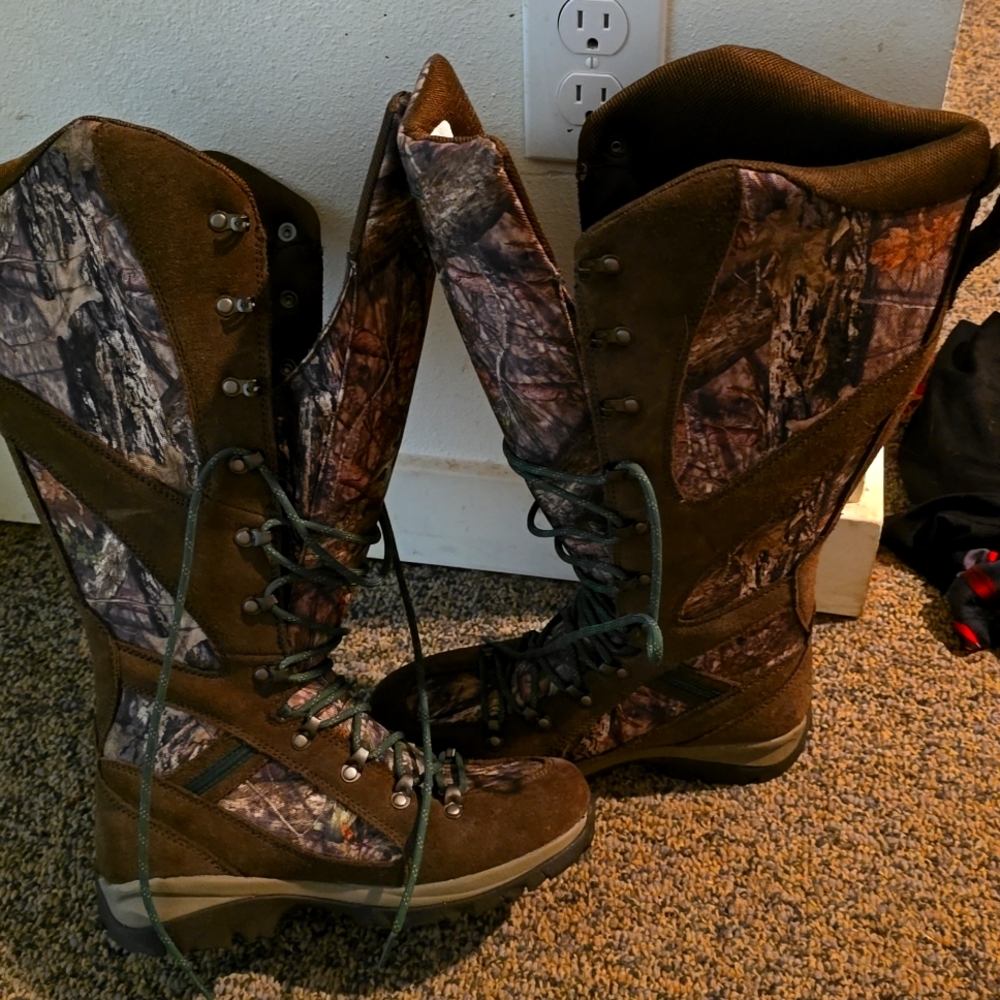 Danner Snake Boots